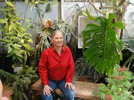 sitting in the butterfly jungle