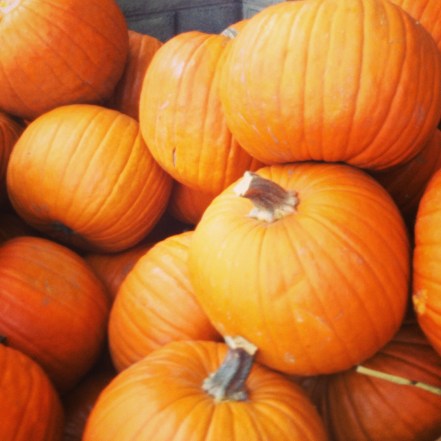 pumpkins in the house