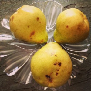 bartlett pears