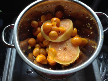 grapefruit and calamondin