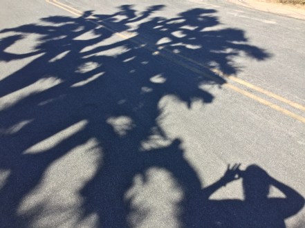 shadow selfie
