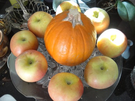 apples and pumpkin