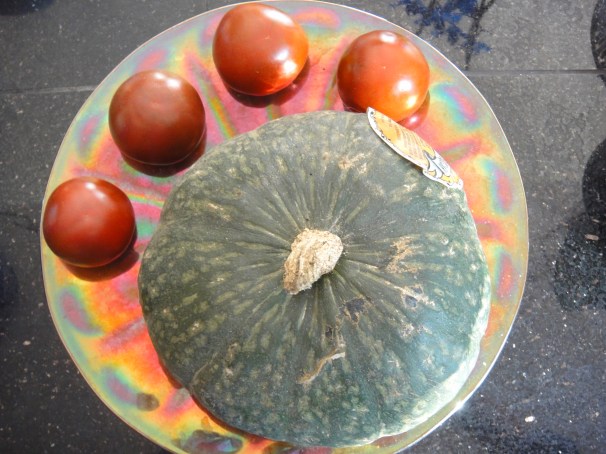 squash and tomatoes