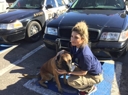 strike a pose with Evo