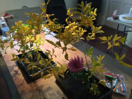 flower show in progress