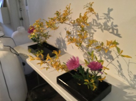 flower show in progress