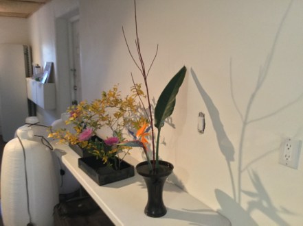 flower show in progress