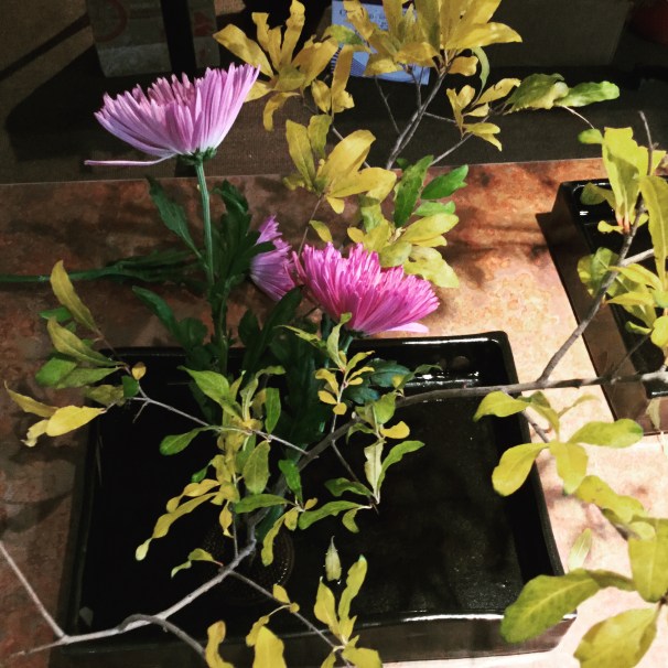 flower show in progress