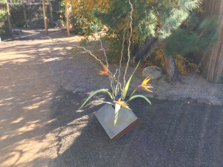 Ikebana in the garden
