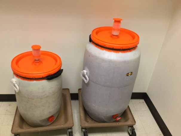 fermenting artisanal kraut