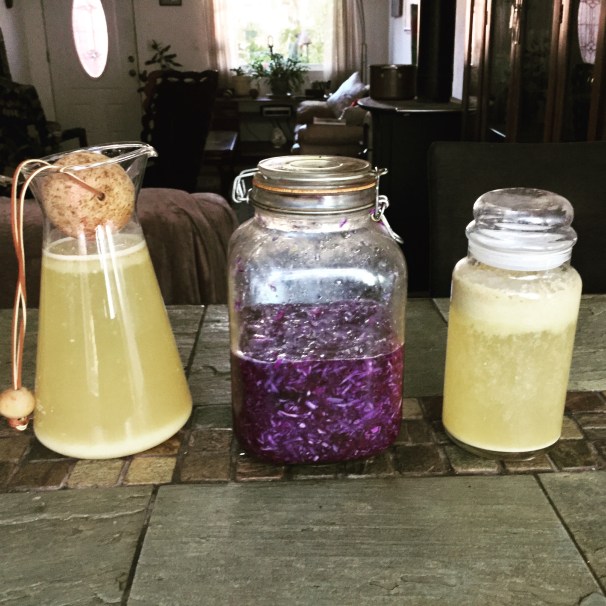 fermenting beverages