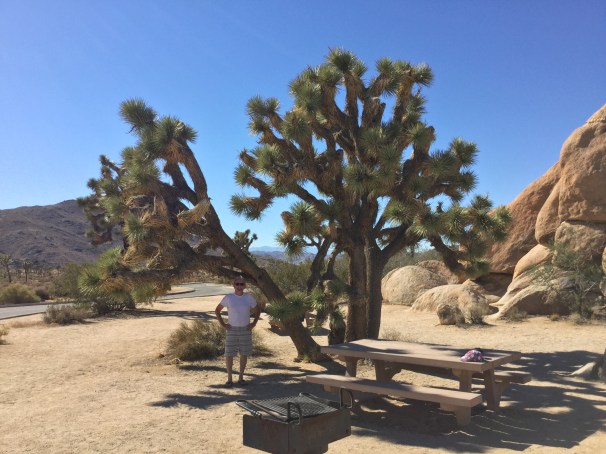 Joshua Tree National Park