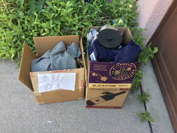 addicted to junk pick up