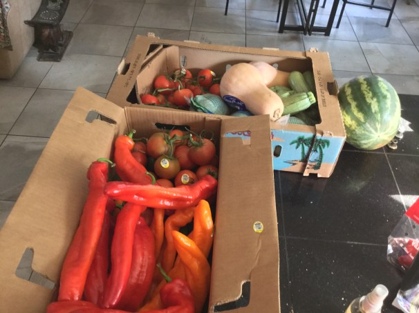 my produce haul