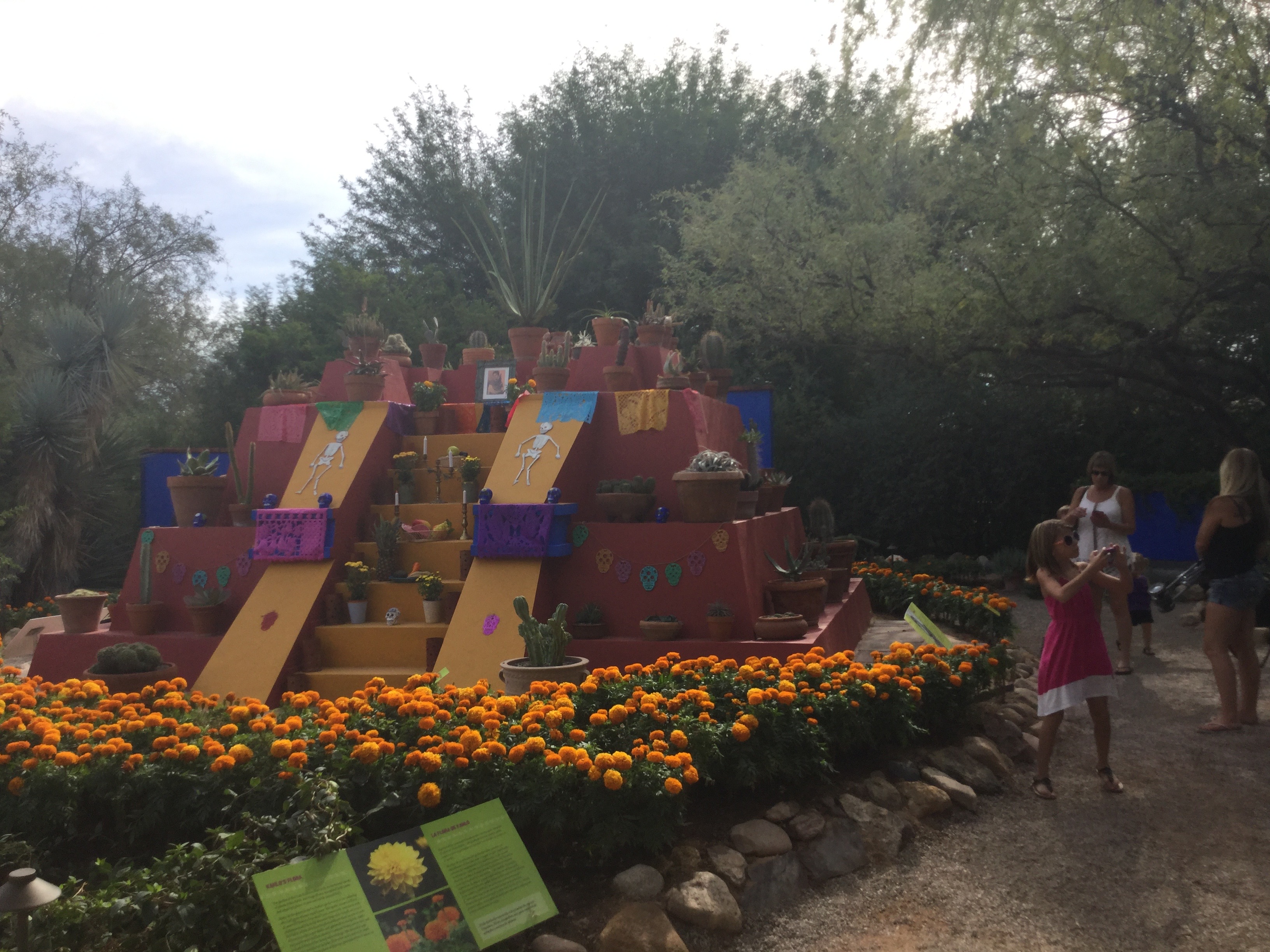 Day of the Dead in Tucson