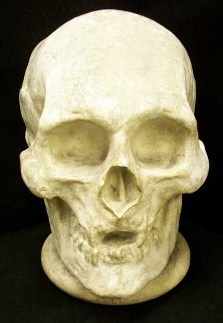 his skull