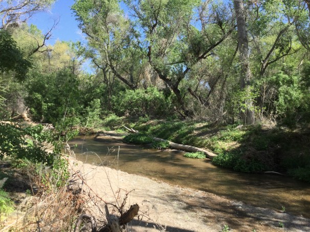 Santa Cruz River