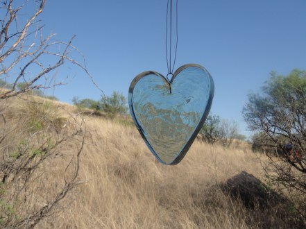 love of the environment