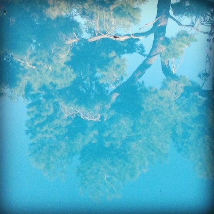 pool with reflection