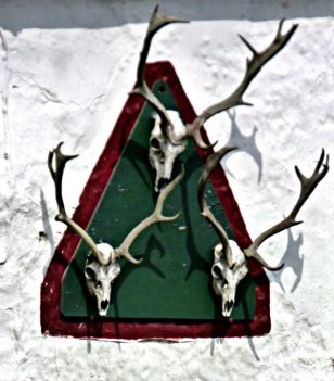 skull sign