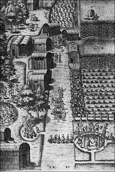 Powhatan Village called Towne of Secoton